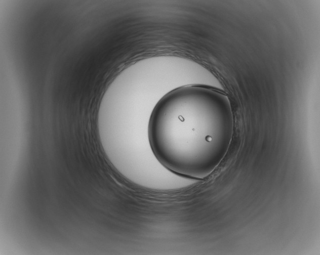 X0000112730760200908271428