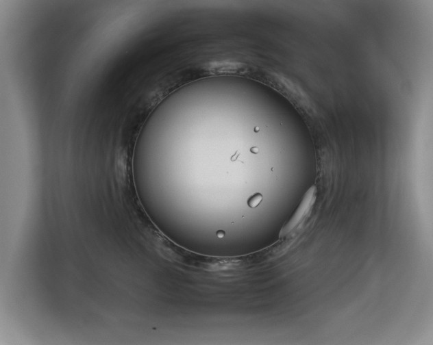 X0000112730761200908271428