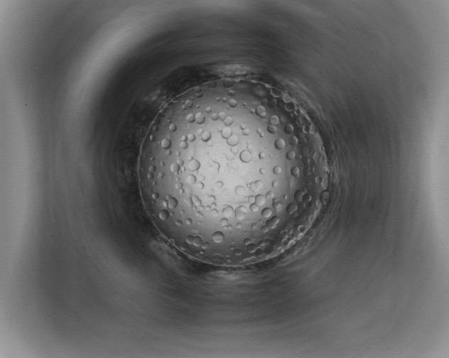 X0000112730763200908271428