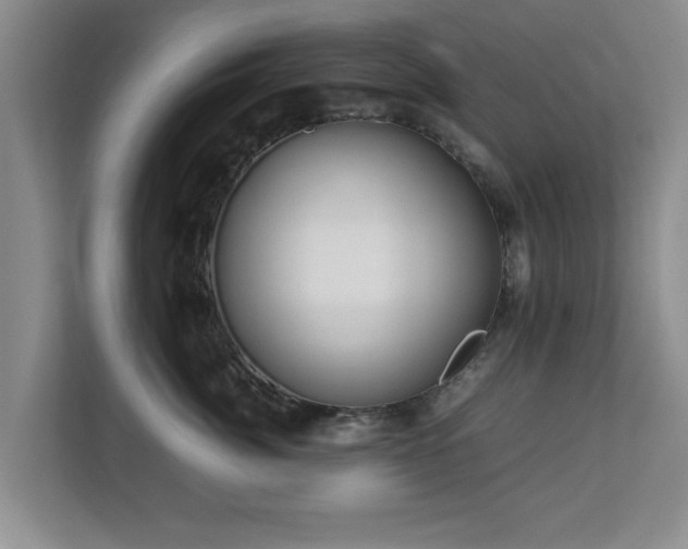 X0000112730764200908271428