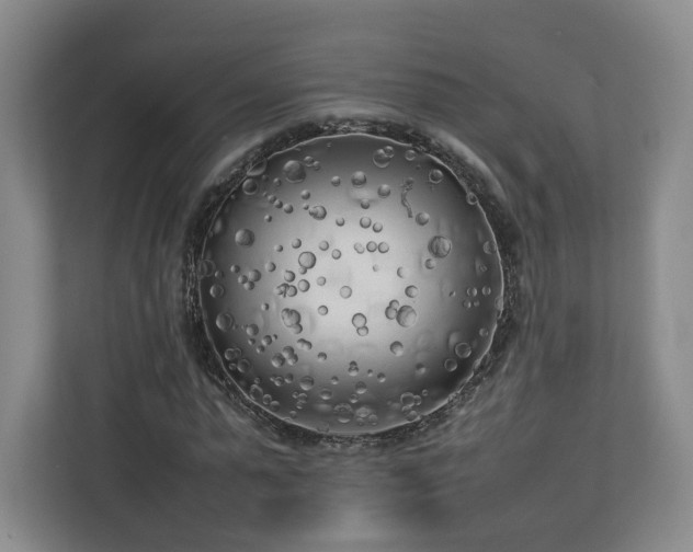 X0000112730775200908271427