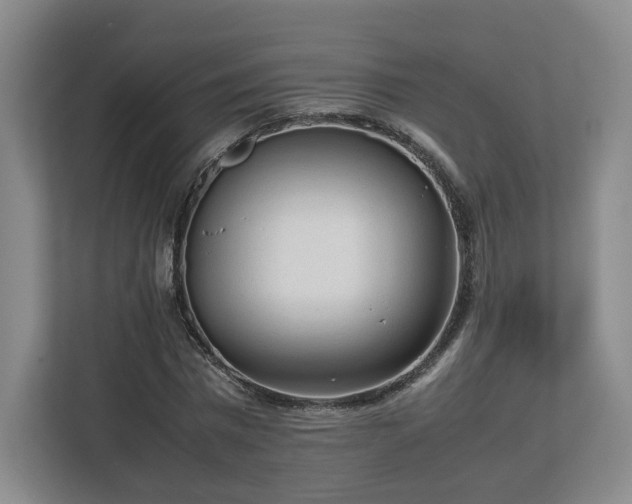 X0000112730777200908271427