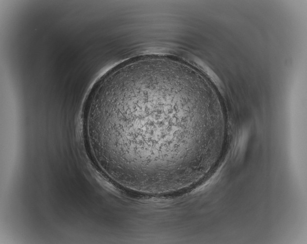 X0000112730779200908271427
