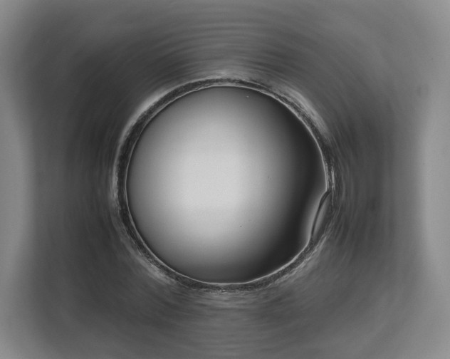 X0000112730780200908271427