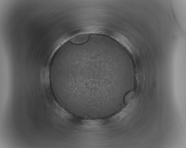 X0000112730781200908271427