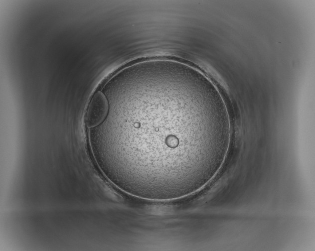 X0000112730789200908271427