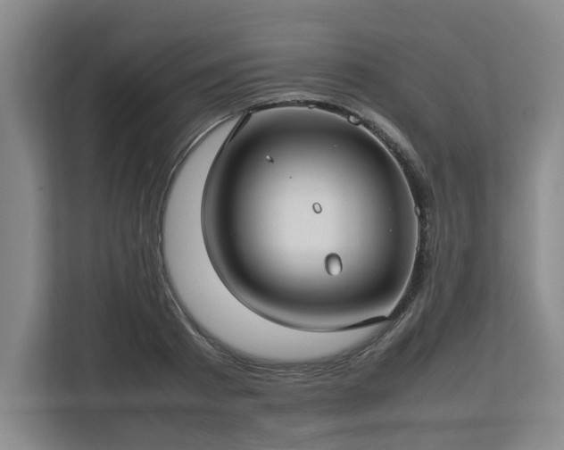 X0000112730793200908271427