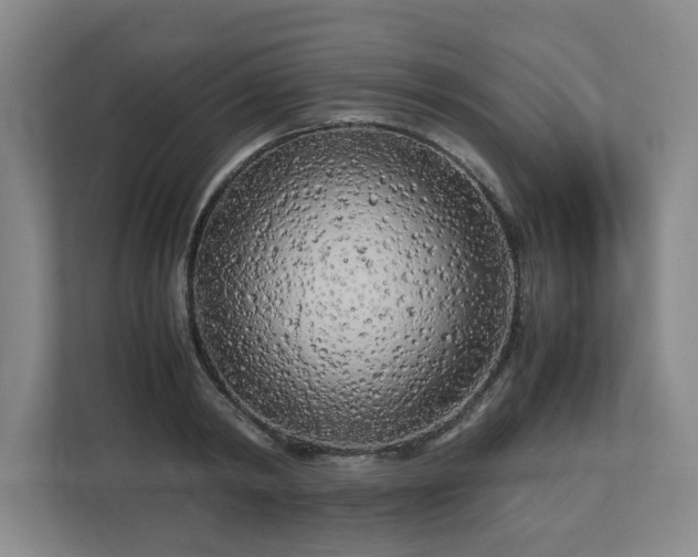 X0000112730798200908271427