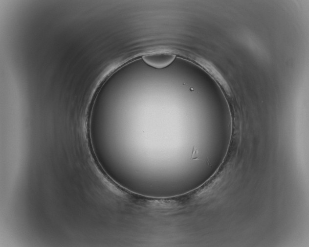 X0000112730805200908271427