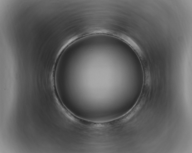 X0000112730806200908271427