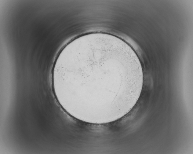 X0000112730807200908271427