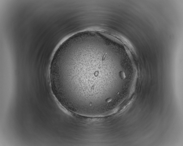 X0000112730808200908271427