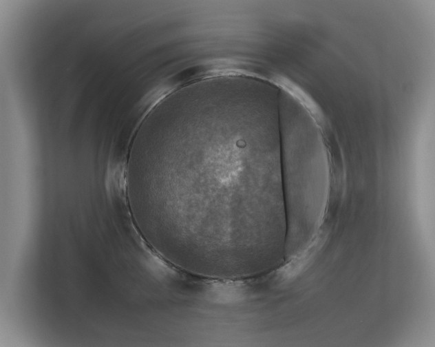 X0000112730809200908271427