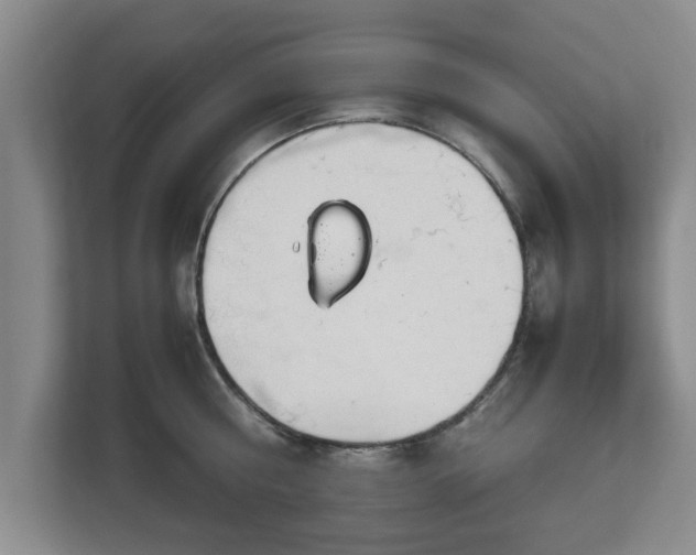 X0000112730810200908271427