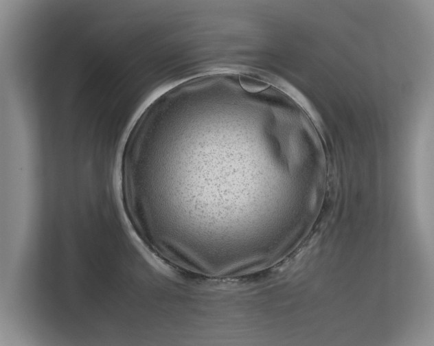 X0000112730811200908271427