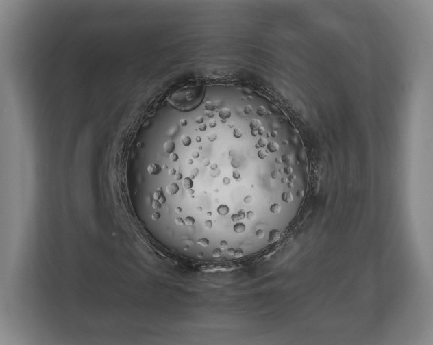 X0000112730817200908271426