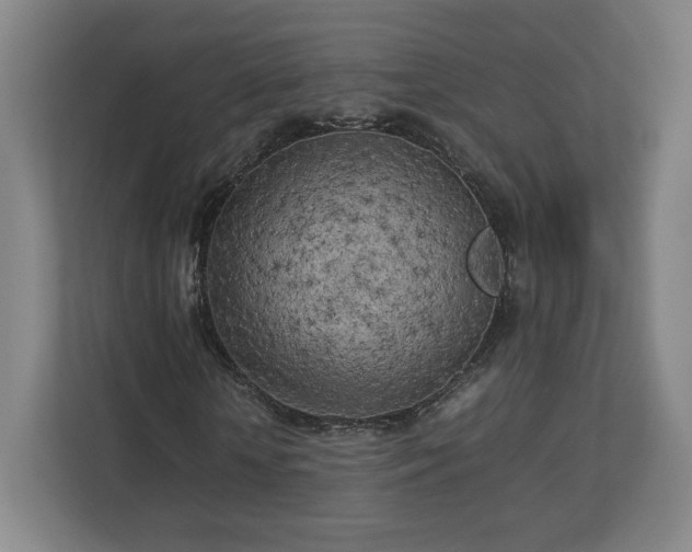 X0000112730818200908271426