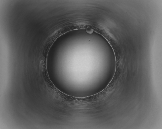 X0000112730821200908271426