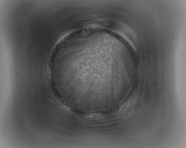 X0000112730823200908271426