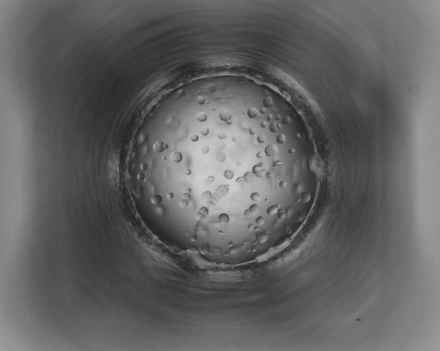 X0000112730825200908271426