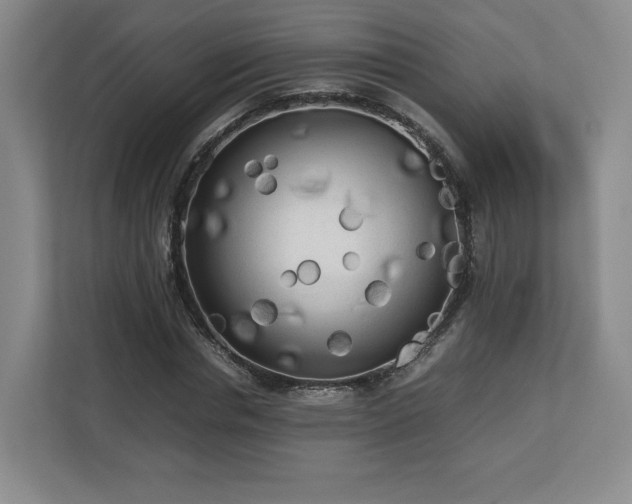 X0000112730826200908271426