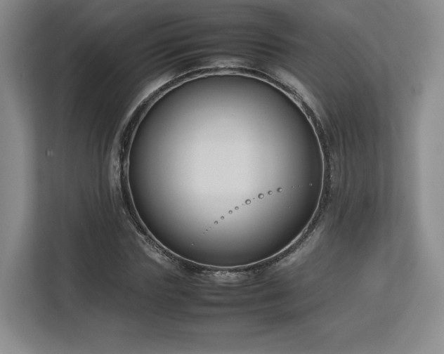 X0000112730827200908271426