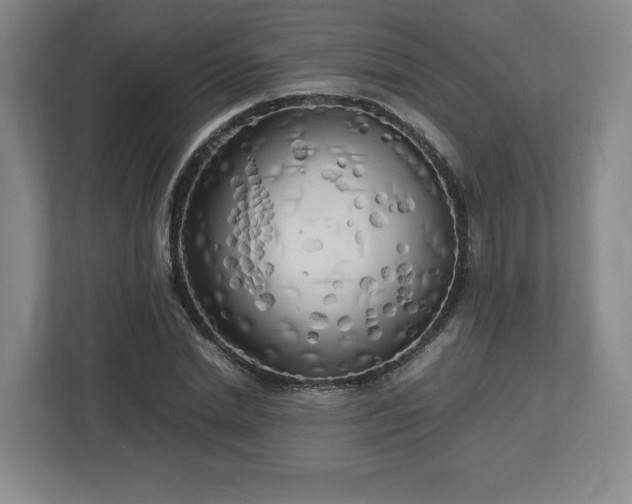 X0000112730830200908271426