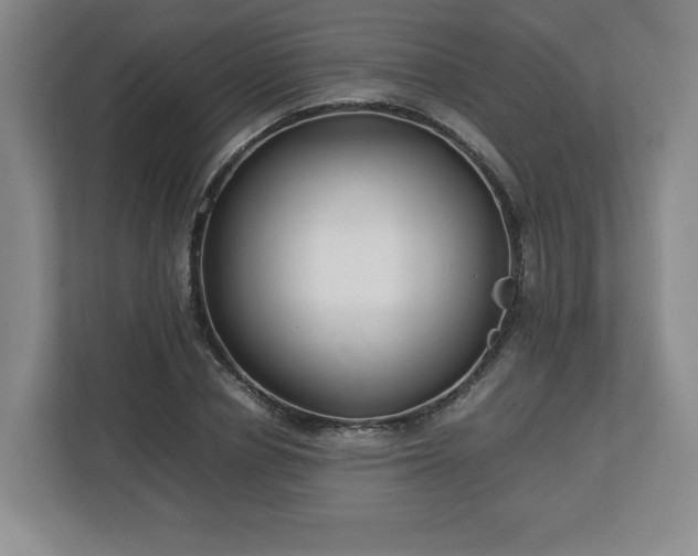 X0000112730834200908271426