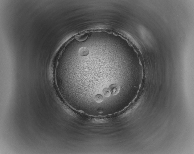 X0000112730835200908271426