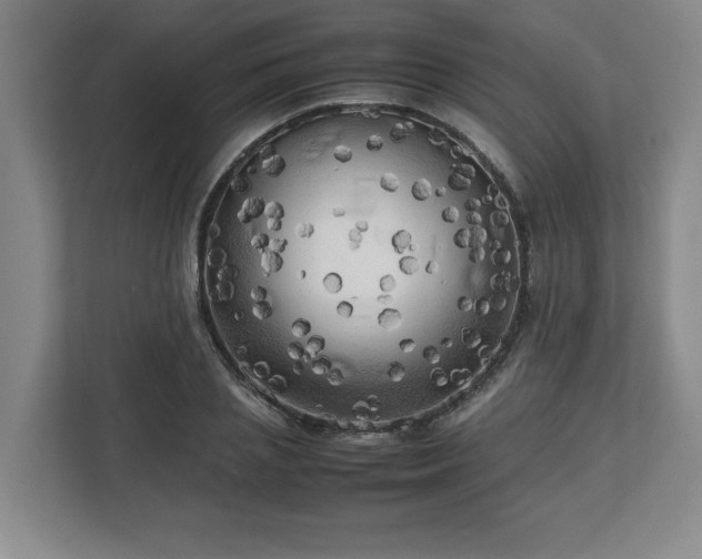 X0000112730837200908271426