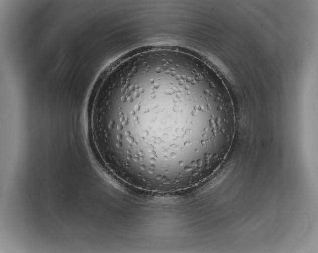 X0000112730840200908271426