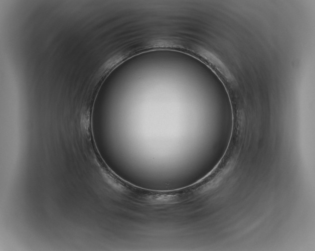 X0000112730841200908271427