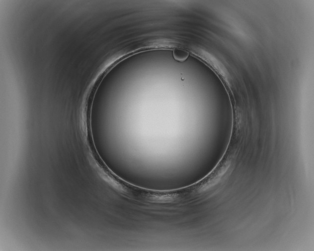 X0000112730843200908271427