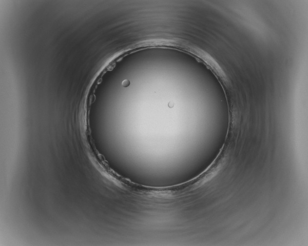 X0000112730844200908271427