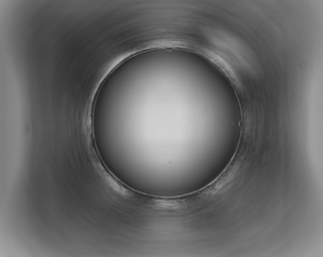 X0000112730852200908271427