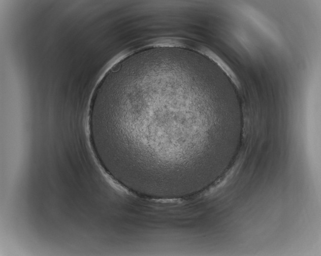 X0000112730853200908271427