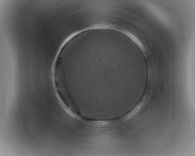 X0000112730854200908271427