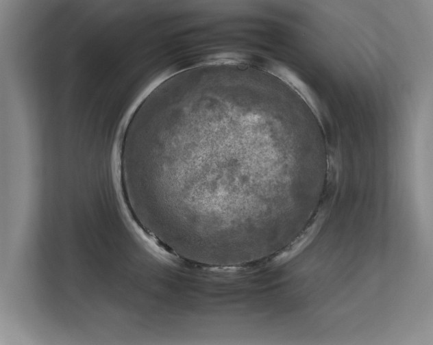 X0000112730859200908271427