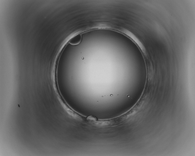 X0000112730861200908271427