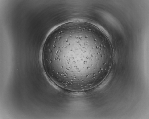 X0000112730862200908271427