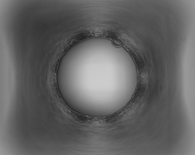 X0000112730865200908271426