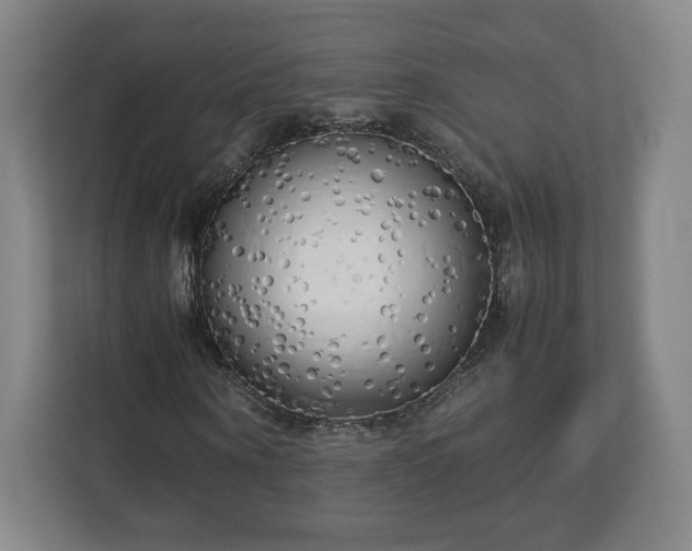 X0000112730866200908271426