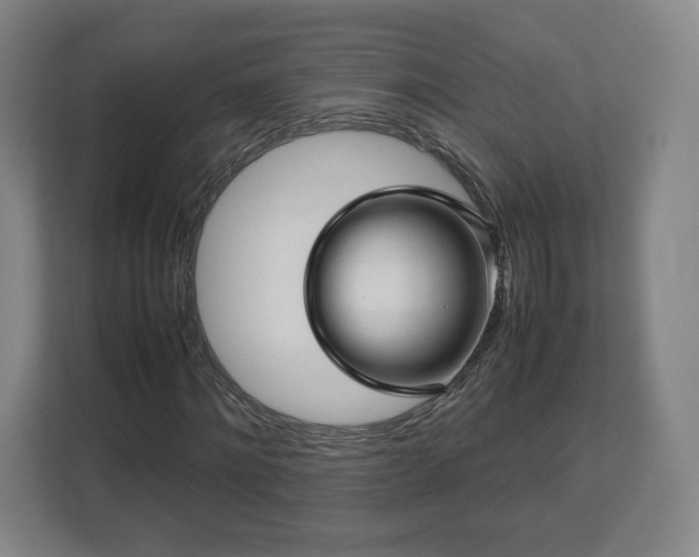 X0000112730868200908271426