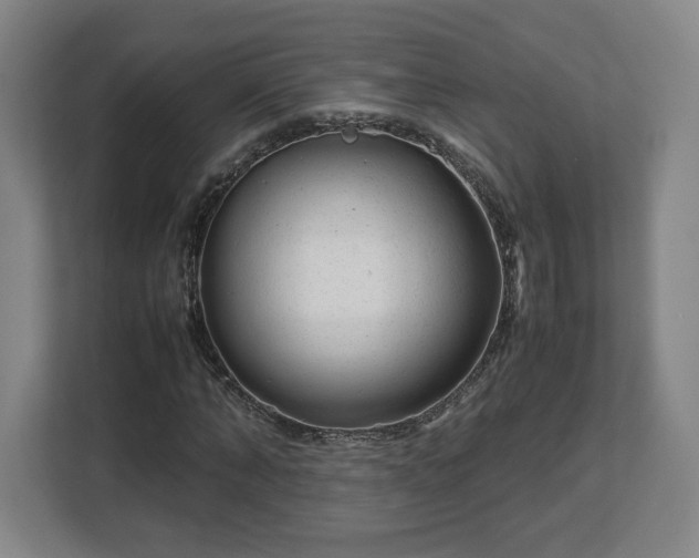 X0000112730870200908271426