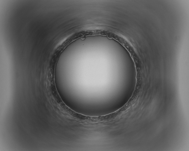 X0000112730871200908271426