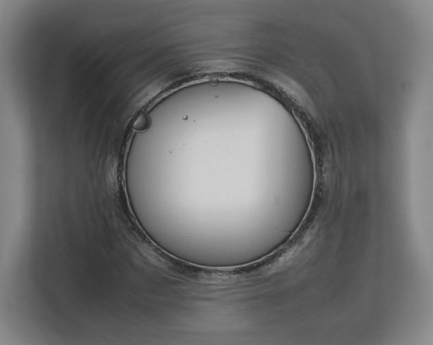 X0000112730873200908271426