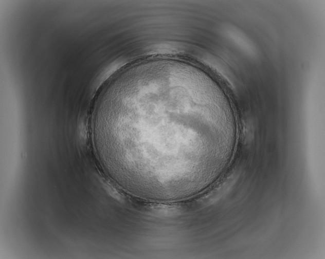 X0000112730874200908271426