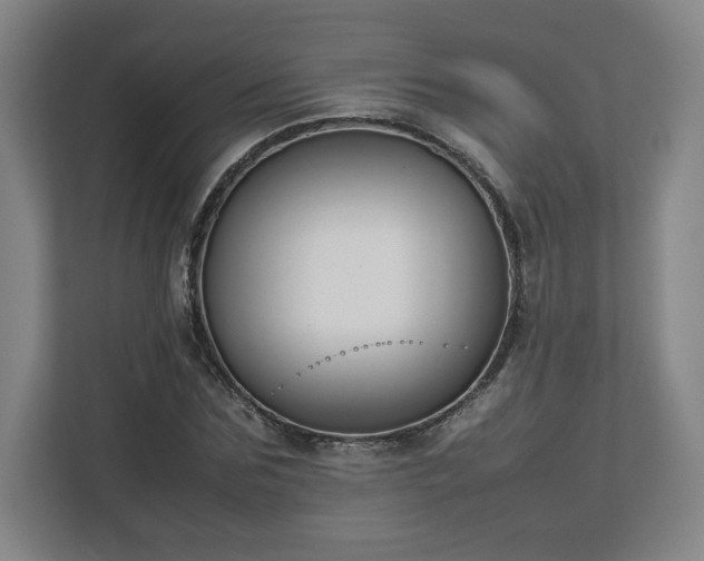 X0000112730875200908271426