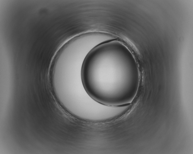 X0000112730876200908271426