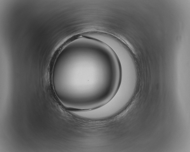 X0000112730877200908271426